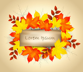 Paper on autumn maple leaves background vector