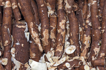 Cassava on display in typical stall of Brazilian street market