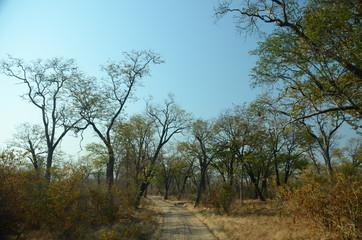 The African landscape. Zimbabwe.