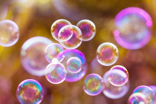 The Dreamy Abstract background from soap bubble in the air with nature defocused