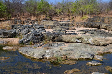 The African landscape. Zimbabwe.