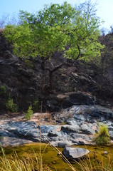 The African landscape. Zimbabwe.