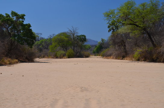The African landscape. Zimbabwe.