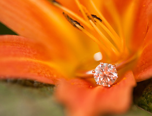 Engagement Diamond in the flower