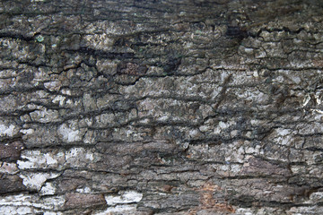 Nature dark brown wood stain close up