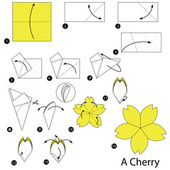 step by step instructions how to make origami A Cherry