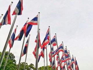 Row of Thailand flag. Picture with copy space.