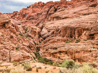 Desert Canyon Red Rock