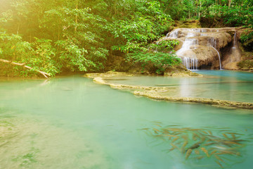 Naklejka premium Level 1 of Erawan Waterfall with Neolissochilus stracheyi fish in Kanchanaburi, Thailand