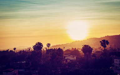 Los Angeles mountains with palm trees at sunset. Vintage tone