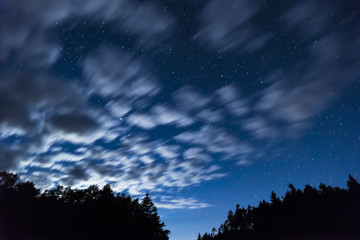Fototapeta na wymiar Fast moving white clouds move across a deep night sky full of stars, tall trees silhouetted
