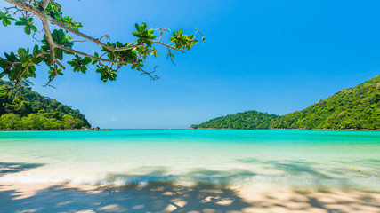 Beautiful tropical beach located Surin island, Thailand