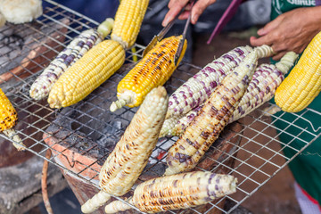roasted corn closeup