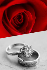 Beautiful jewelry rings with rose