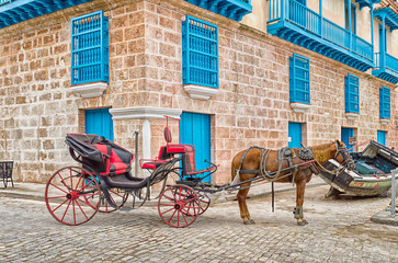 a horse harnessed to a cart on the background of the brick walls of an old building, the district of the Malecon quay, Havana, Cuba