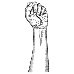 Woman hand gesture sketch. Girl wrist illustration isolated on white background. Hand drawn engraving style of female raise high up fist. Vector.