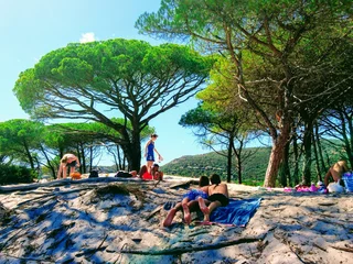 Cercles muraux Plage de Palombaggia, Corse plage palombaggia corse
