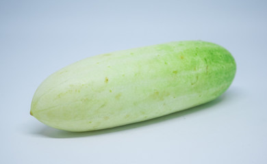 Cucumber