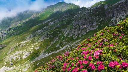 Panorama dal colle del Croso, Biella Valsesia Piemonte Italia