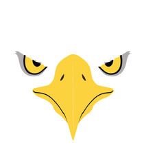 Eagle eyes, Front face graphic vector 