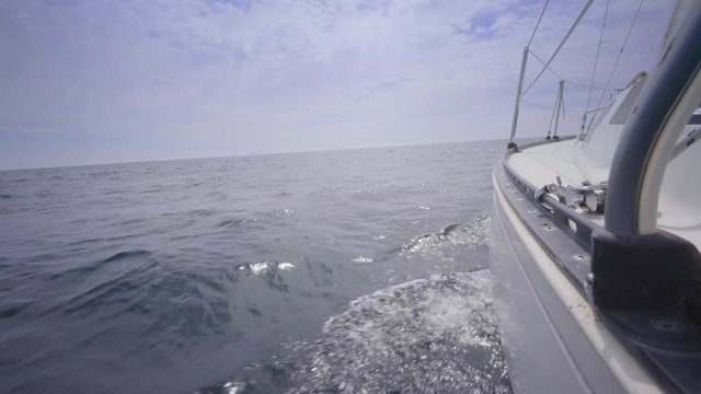 sailboat in summer on the lake ontario toronto