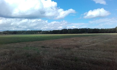 Petite balade champêtre