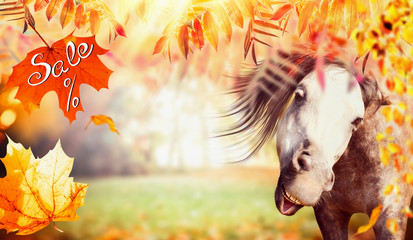 Funny horse face with autumn foliage, falling leaves and text Sale, banner