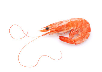 Cooked shrimp isolated on white background.