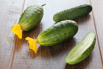 Cucumber