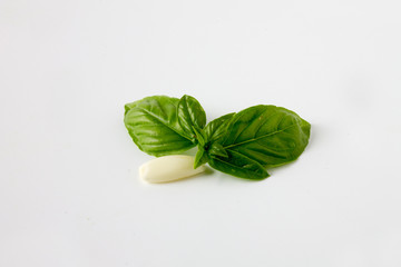 Basil leaves with a clove of garlic on a white background