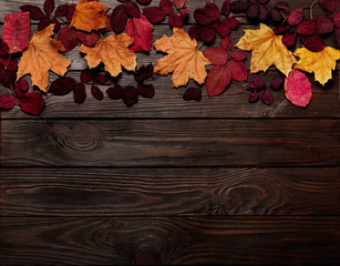 Naklejka na ściany i meble Flat lay frame of autumn crimson and yellow leaves on a dark wooden background.