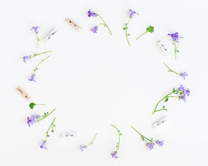 Flowers composition. Bell flowers on white background. Flat lay, top view