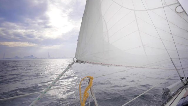 sailboat in summer on the lake ontario toronto