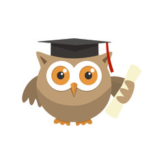 Owl graduate with a hat on a white background