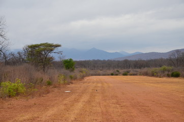 The African landscape. Zimbabwe.