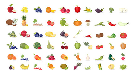 Fruits illustrations set.
