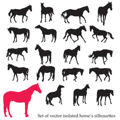 Set of isolated horse's silhouettes