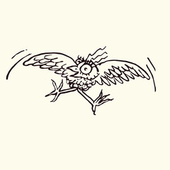 Fototapeta premium Funny bird enjoying flying with surprised eyes, hand drawn doodle, sketch in pop art style, black and white vector illustration