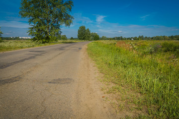 Sunny Cracked Rural Road