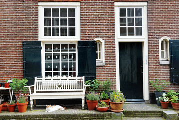Amsterdam, Holland - nice view of a building facade, a white bench and a cat © tanialerro