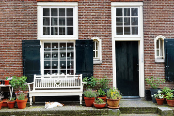 Amsterdam, Holland - nice view of a building facade, a white bench and a cat