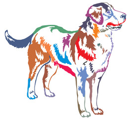 Colorful decorative standing portrait of Greater Swiss Mountain Dog vector illustration