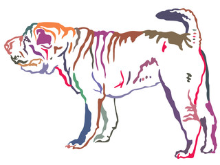 Colorful decorative standing portrait of Shar Pei vector illustration