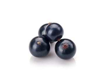 Blackcurrant