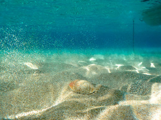 Underwater scene in tropical sandy beach, Koufonisi island, Crete, Greece.