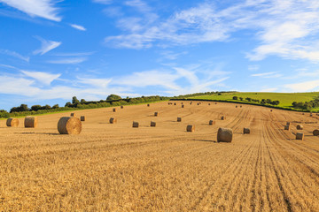 Sussex Landscape at Harvest