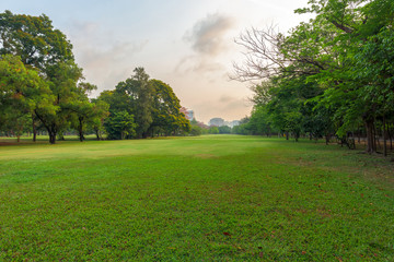 Green grass field in park at city center with business buildings in Bangkok, Thailand