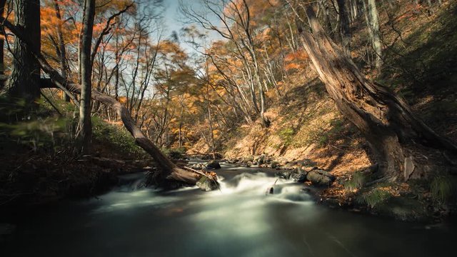 紅葉の渓流 ４Ｋ タイムラプス １３