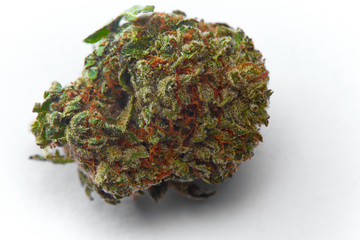 Close up of WiFi strain prescription medical marijuana flower bud