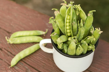 green peas put in the white metal cup on a wooden table, summer day outside